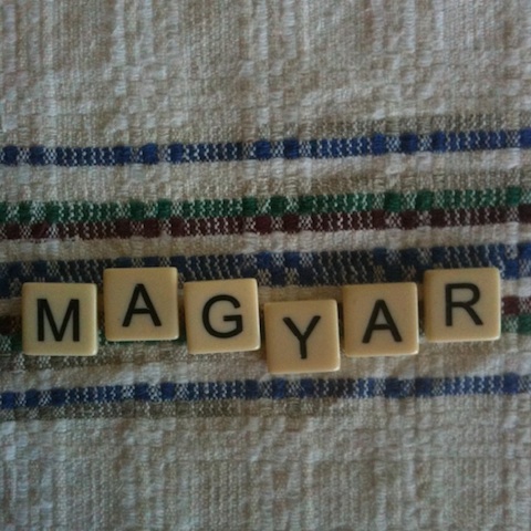 You know you are from a Hungarian family when….