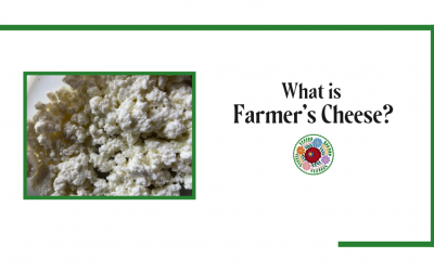What is Farmer’s Cheese?