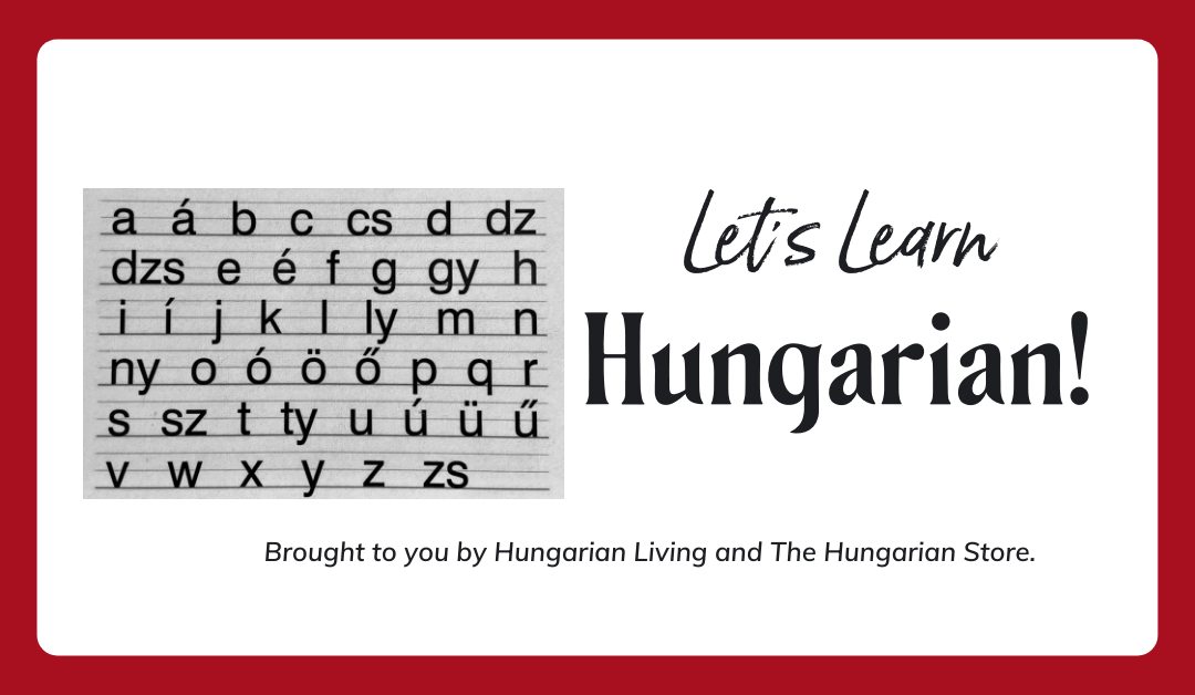 Hungarian Language Lessons