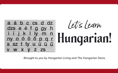 Hungarian Language Lessons