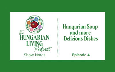 Hungarian Meat Soup and more!