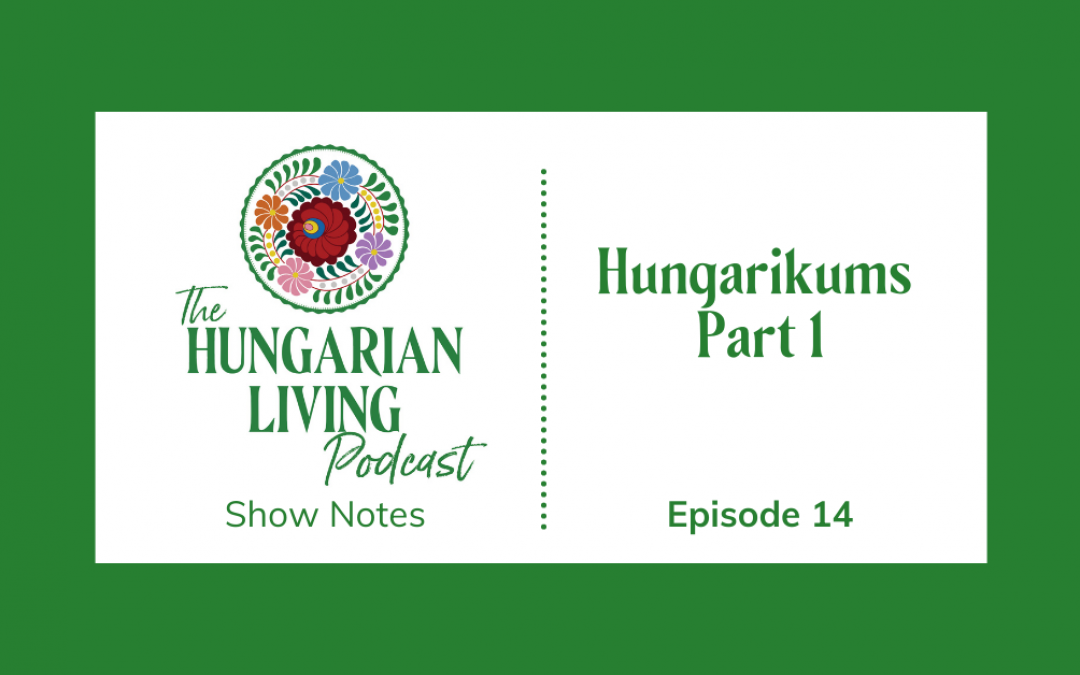 Let’s talk about Hungarikums, Part I