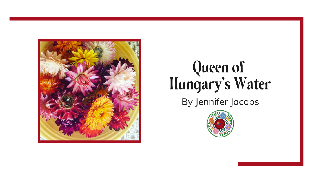Queen of Hungary’s Water